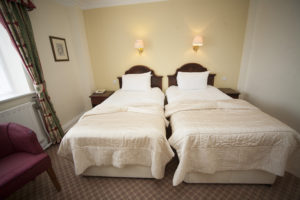 Twin room at the lion hotel